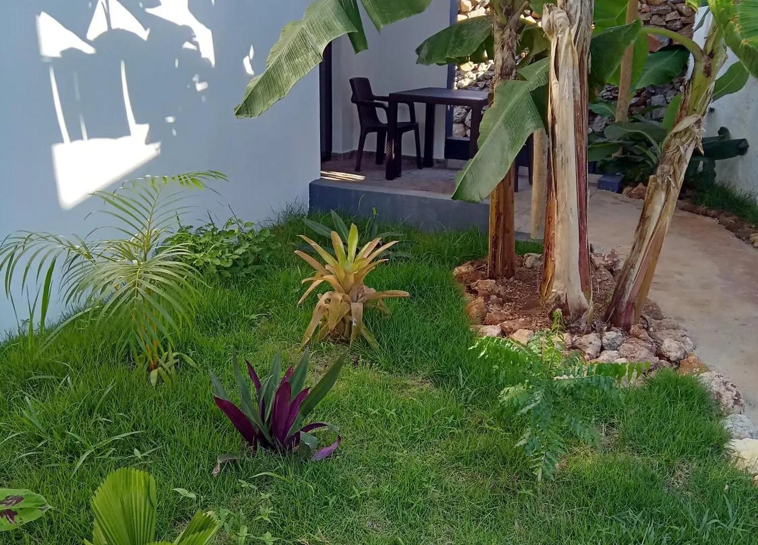 Bungalows Colibri Las Galeras Hotel