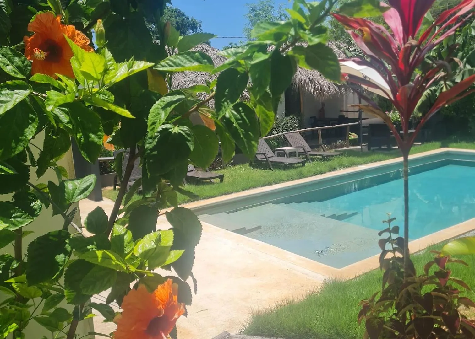 Hotel Bungalows Colibri Las Galeras