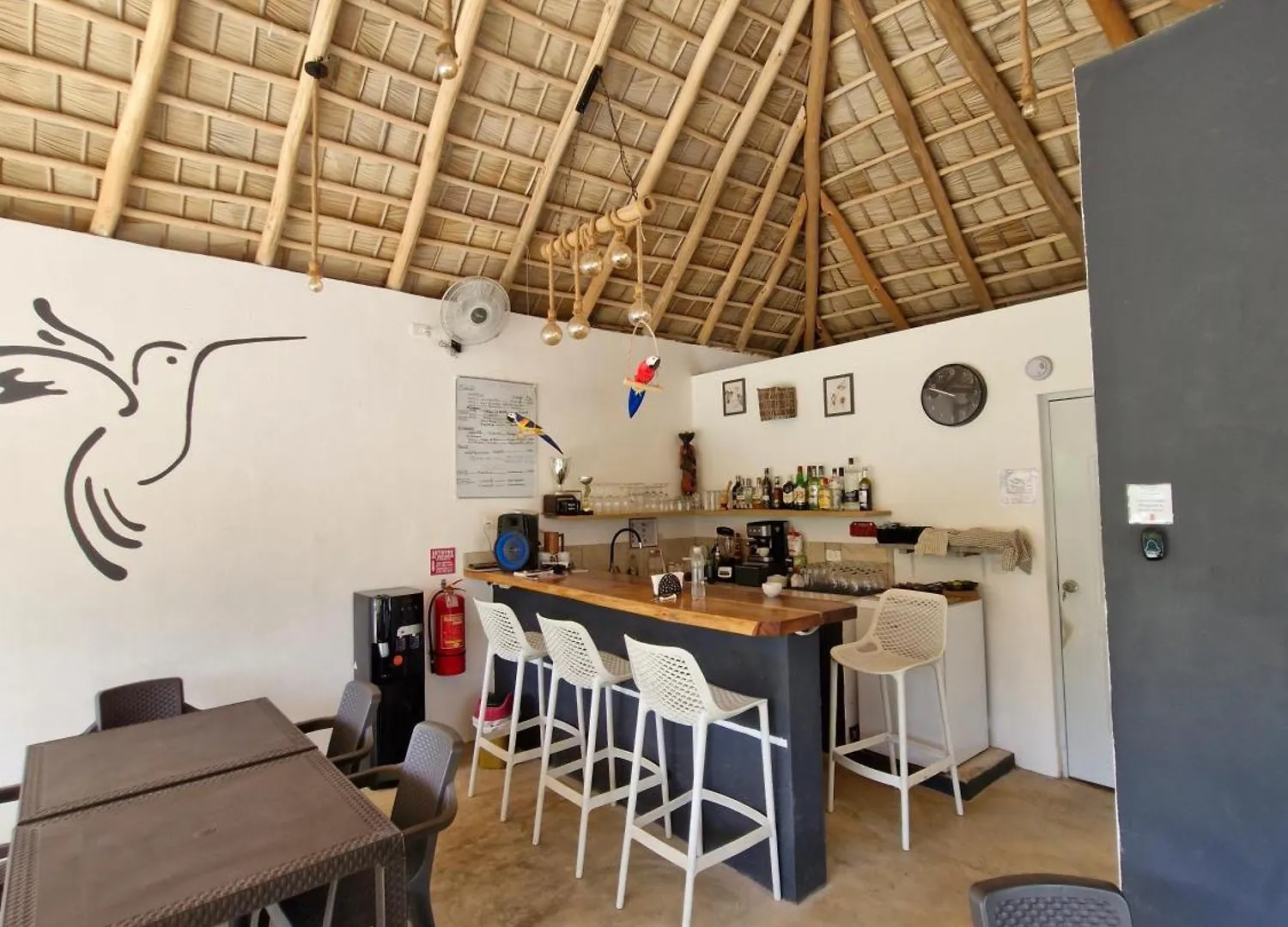 Bungalows Colibri Las Galeras 0*,